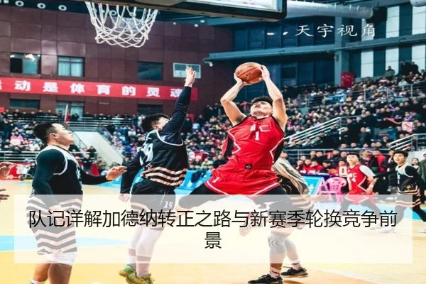 队记详解加德纳转正之路与新赛季轮换竞争前景